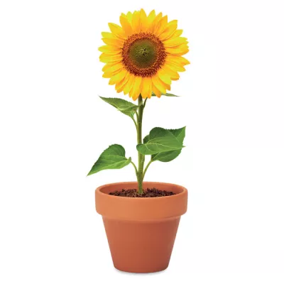 Doniczka z terakoty z nasionami słonecznika SUNFLOWER - Drewna (MO6147-40)