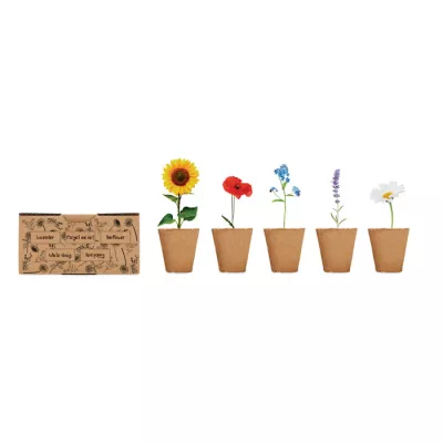 Zestaw do uprawy kwiatów z nasionami FLOWERS - Bezowy (MO6500-13)