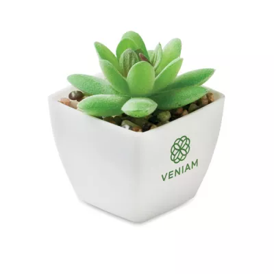 Sztuczna roślina mini graptopetalum z PP ARTIGRAP - Bialy (MO2854-06)
