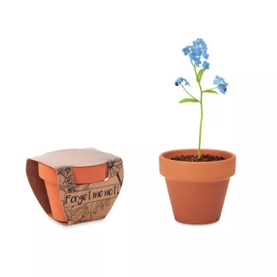 Doniczka z nasionami niezapominajki FORGET ME NOT - Drewna (MO6146-40)