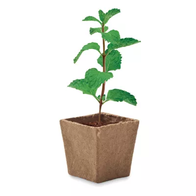 Zestaw do uprawy mięty w doniczce torfowej MINT KIT - Bezowy (MO2410-13)