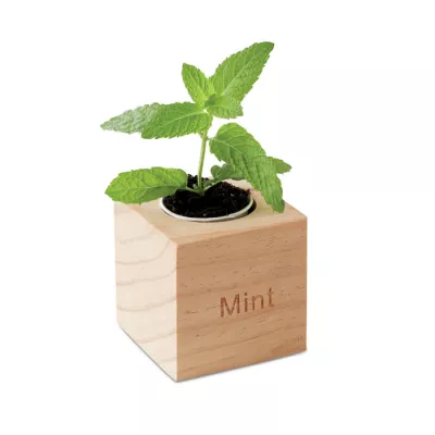 Zestaw do uprawy mięty w drewnianym pojemniku MENTA - Drewna (MO9337-40)