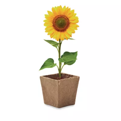 Zestaw do uprawy słonecznika w doniczce SUNFLOWER KIT - Bezowy (MO2411-13)