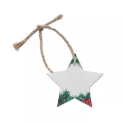 Gwiazdka papierowa z nasionami kwiatów STARSEED - Bialy (CX1516-06)