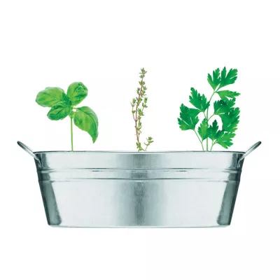 Doniczka cynkowa z nasionami ziół MIX SEEDS - Srebrny Mat (MO6497-16)
