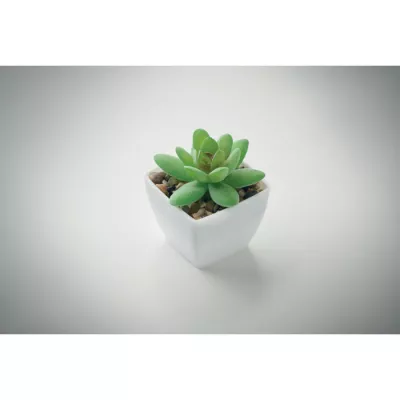 Sztuczna roślina mini graptopetalum z PP ARTIGRAP - Bialy (MO2854-06)