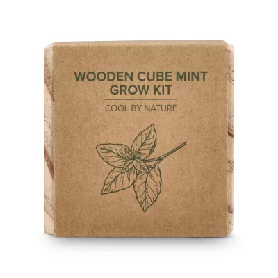 Zestaw drewnianych doniczek FSC – miętowy - naturalny-t (LT94574-N0094)