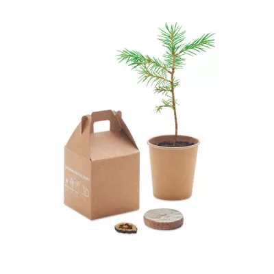 Zestaw do uprawy sosny z doniczką i torfem GROWTREE™ - Bezowy (MO6228-13)