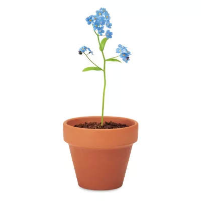 Doniczka z nasionami niezapominajki FORGET ME NOT - Drewna (MO6146-40)