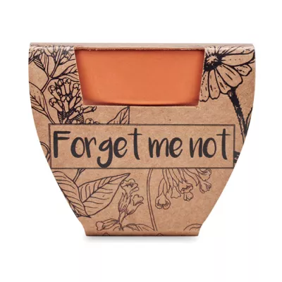 Doniczka z nasionami niezapominajki FORGET ME NOT - Drewna (MO6146-40)