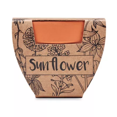 Doniczka z terakoty z nasionami słonecznika SUNFLOWER - Drewna (MO6147-40)