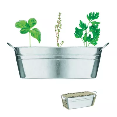 Doniczka cynkowa z nasionami ziół MIX SEEDS - Srebrny Mat (MO6497-16)