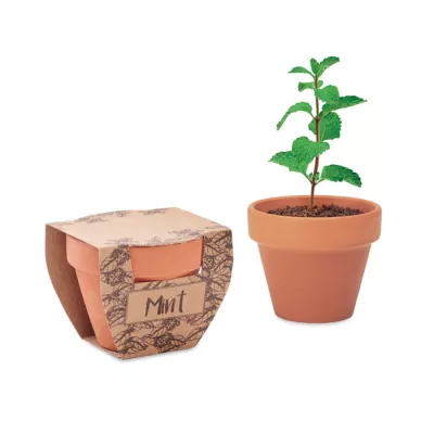 Doniczka z terakoty z nasionami mięty MINT POT - Drewna (MO2218-40)