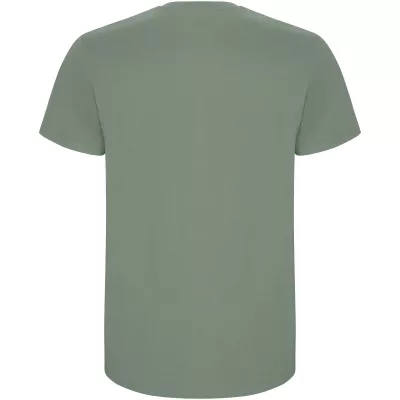 Stafford koszulka męska z krótkim rękawem - Laurel green (R6681-LAUGREEN)