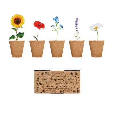 Zestaw do uprawy kwiatów z nasionami FLOWERS - Bezowy (MO6500-13)