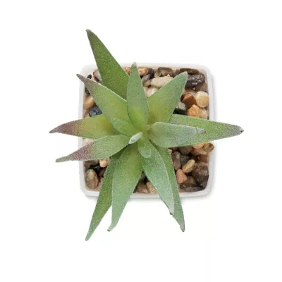 Sztuczna roślina mini aloes z PP ARTILOE - Bialy (MO2852-06)