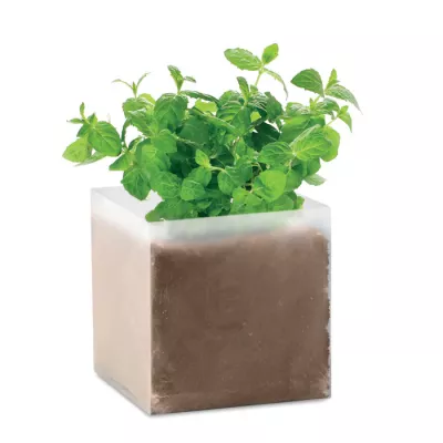 Zestaw do uprawy mięty w torebce MINT - Bezowy (MO9546-13)