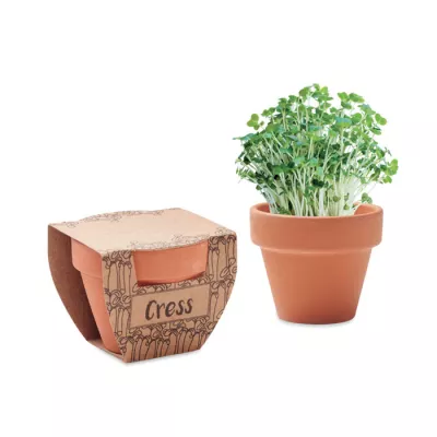 Doniczka z terakoty z nasionami rzeżuchy CRESS POT - Drewna (MO2219-40)
