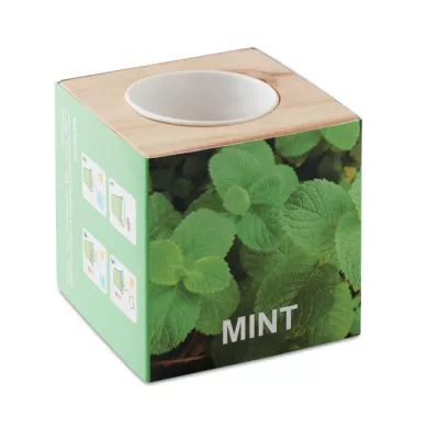 Zestaw do uprawy mięty w drewnianym pojemniku MENTA - Drewna (MO9337-40)