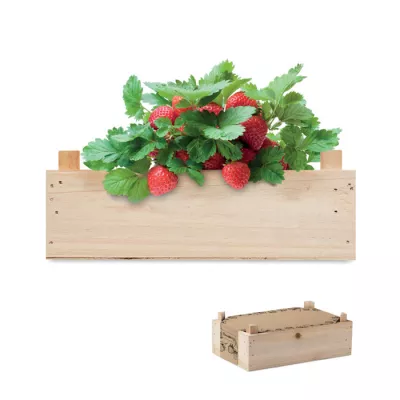 Zestaw do uprawy truskawek w skrzynce STRAWBERRY - Drewna (MO6506-40)
